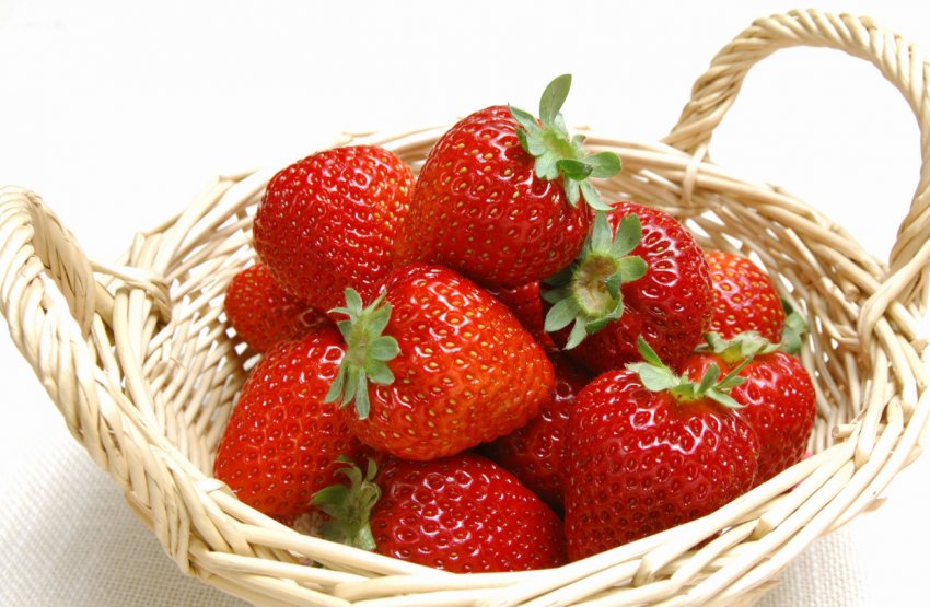 Фермери Південної України змушені передчасно закінчити збір полуниці