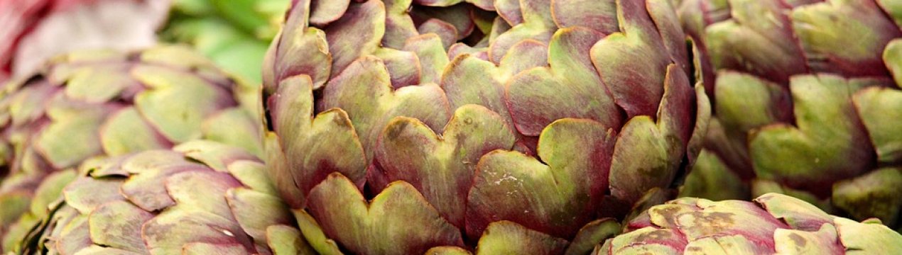 Українська компанія провела експеримент за зимівлі артишоку