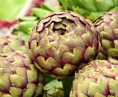 Українська компанія провела експеримент за зимівлі артишоку