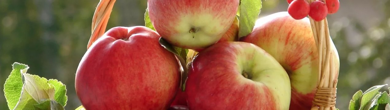 Яблука знову дешевшають на українських ринках