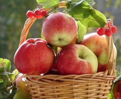 Яблука знову дешевшають на українських ринках