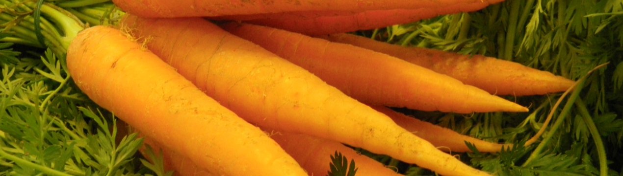 Торішня моркву в Україні стає все дешевше