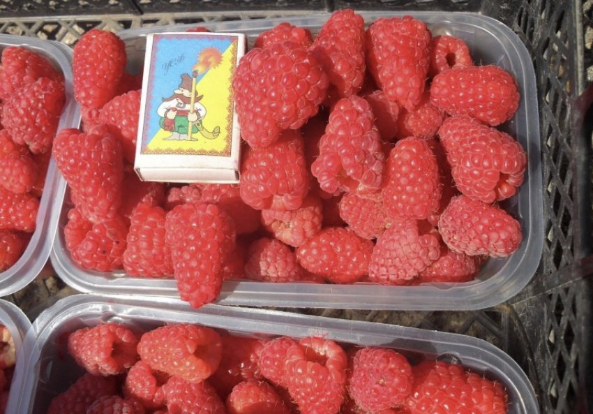 Урожай малини Арбат