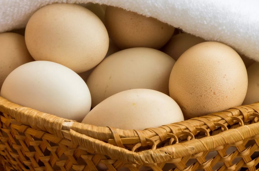 В Мурманську активно дорожчають овочі дешевшають яйця В Мурманську активно дорожчають овочі дешевшають яйця