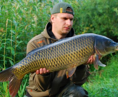 У Тюмені підвищують чисельність коропів, щук і пеляди у водоймах