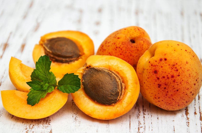 Росія ледь не занурилася в пучину холери через турецьких фруктів