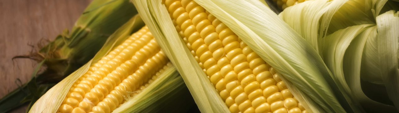 «Побиті» штормом фермери Індіани побоюються нової тарифної «бурі» Трампа