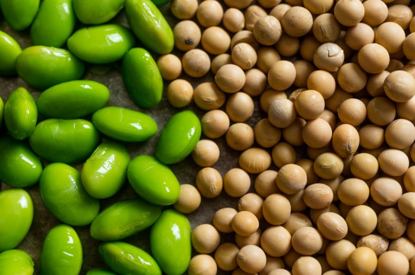 «Побиті» штормом фермери Індіани побоюються нової тарифної «бурі» Трампа «Побиті» штормом фермери Індіани побоюються нової тарифної «бурі» Трампа