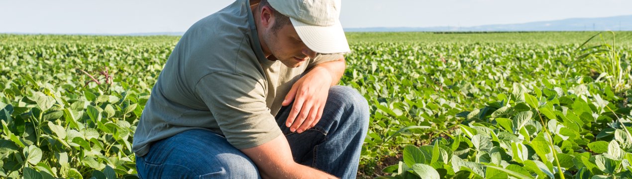 Найменша зарплата в минулому році була у російських фермерів