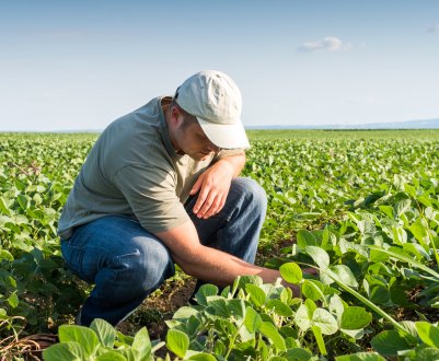 Найменша зарплата в минулому році була у російських фермерів