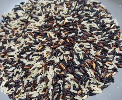 Без зайвої води: українські вчені запропонували новий спосіб вирощування рису