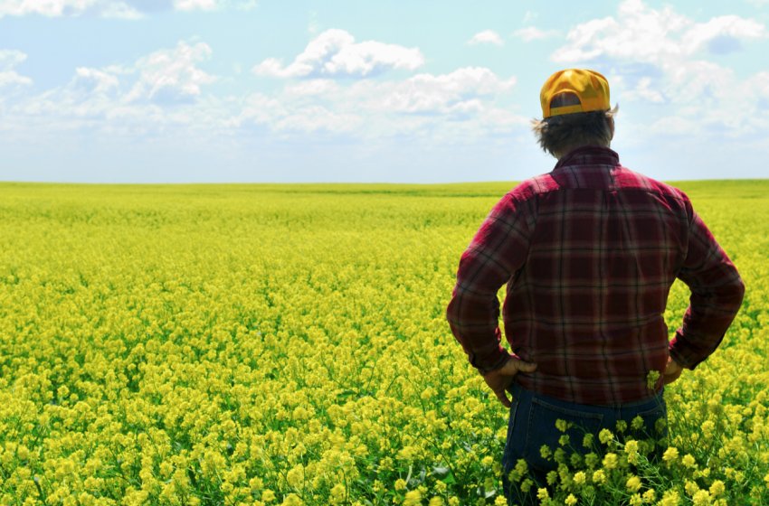 найменша зарплата в минулому році була у російських фермерів найменша зарплата в минулому році була у російських фермерів