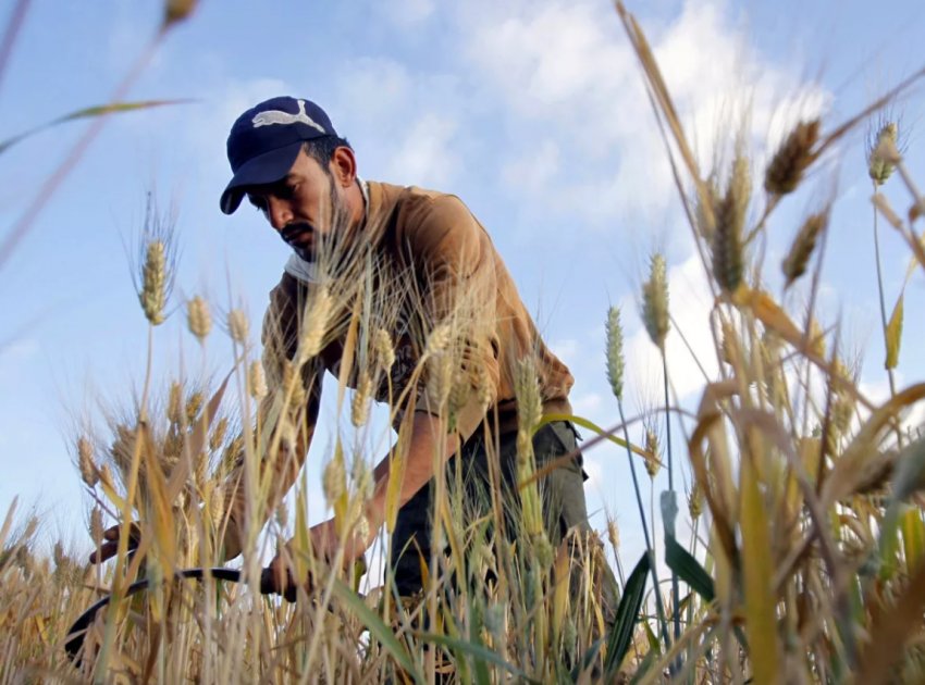 найменша зарплата в минулому році була у російських фермерів найменша зарплата в минулому році була у російських фермерів