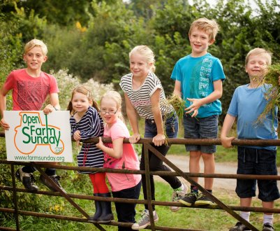 Фермери по всій Великобританії провели Open Farm Sunday