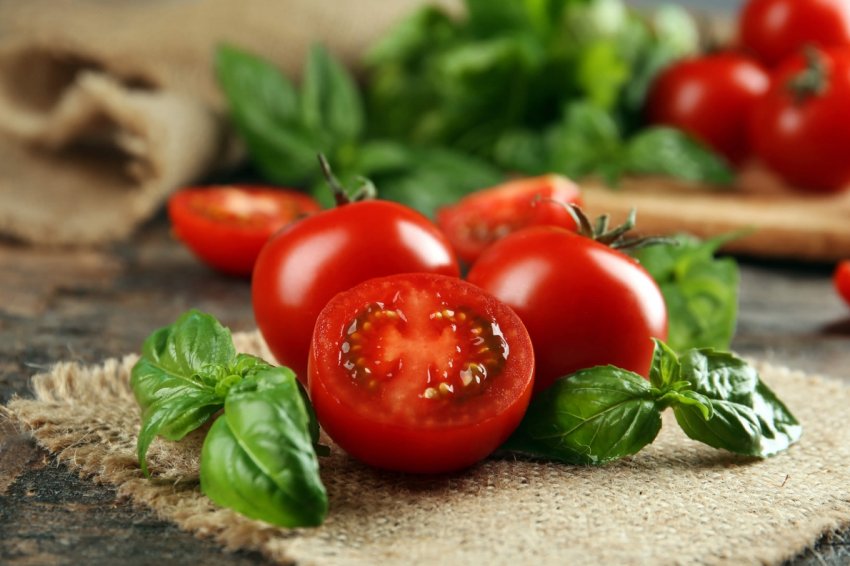 Через рік липецькі теплиці розширяться до 200 га Через рік липецькі теплиці розширяться до 200 га