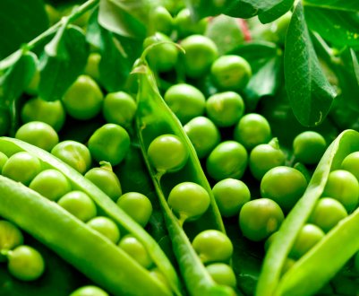 Як правильно заморозити зелений горошок на зиму в морозилці
