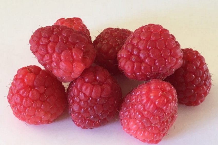 Малина Мапема