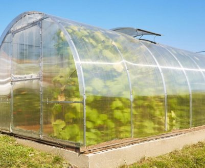 Оцинковані теплиці з полікарбонату