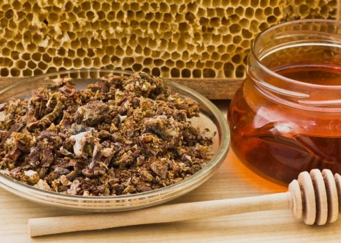 Прополіс на воді в домашніх умовах: які хвороби лікує, протипоказання