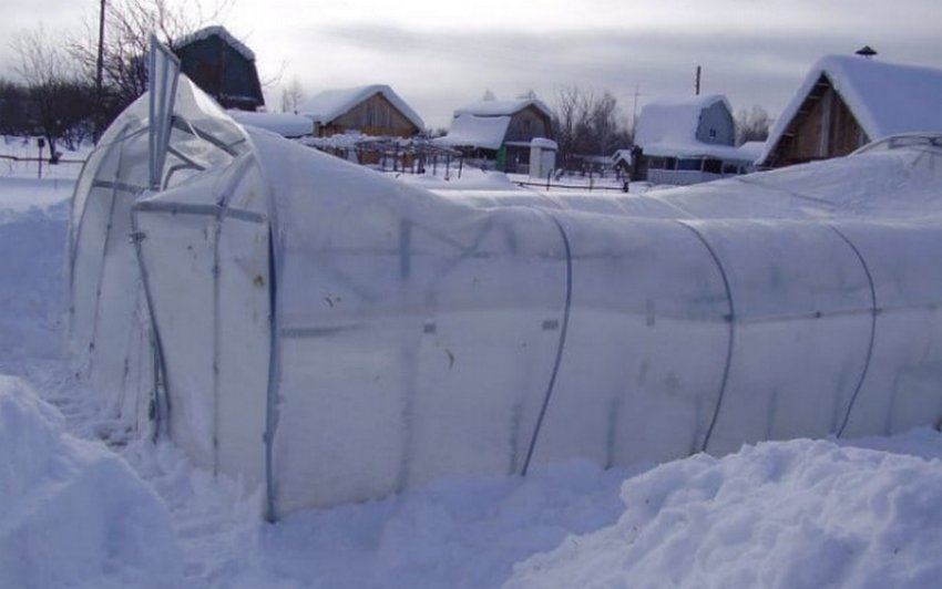 Теплиця взимку