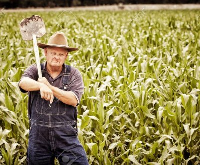 Міністерство сільського господарства США шукає способи допомогти фермерам