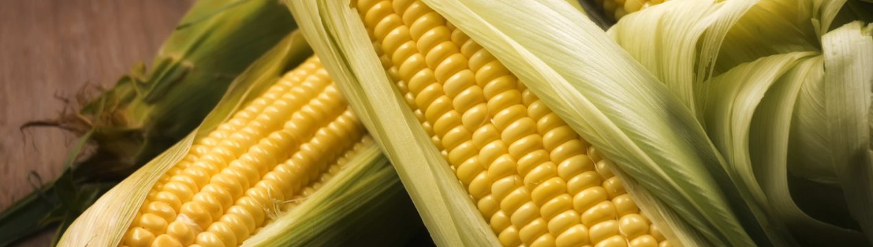 Звіт Міністерства сільського господарства США по кукурудзі та сої