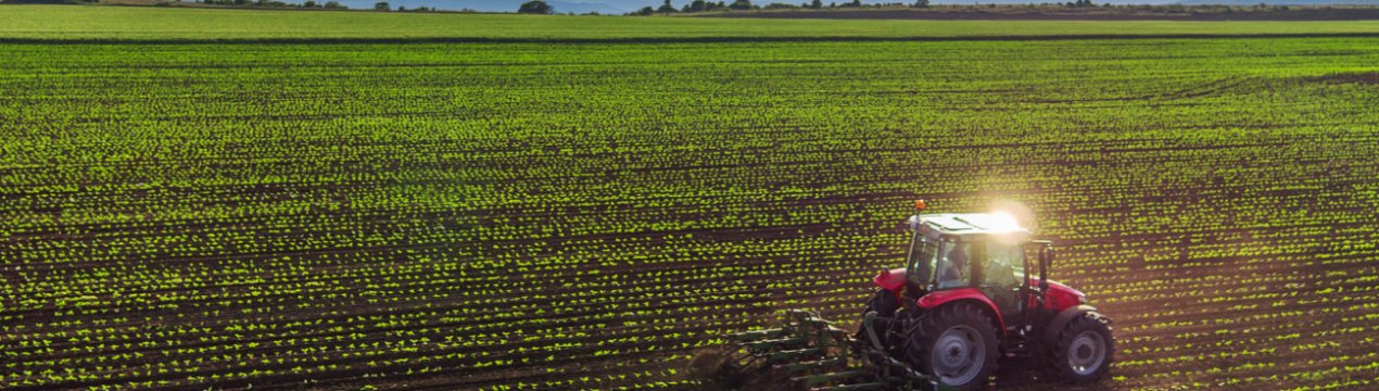 Негода завадила кіровоградським аграріям закінчити посівні роботи