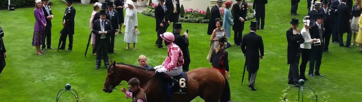 У Великобританії тисячі людей відвідали шоу Kenilworth, незважаючи на негоду