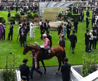 У Великобританії тисячі людей відвідали шоу Kenilworth, незважаючи на негоду