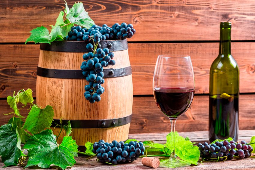 Для виноробства вже придатні всі області України