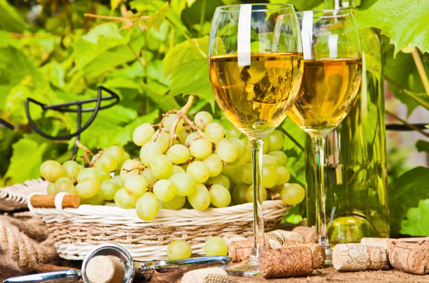 Для виноробства вже придатні всі області України