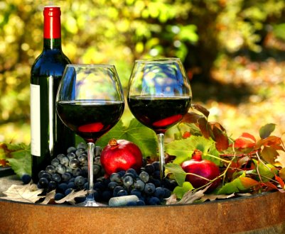 Для виноробства вже придатні всі області України