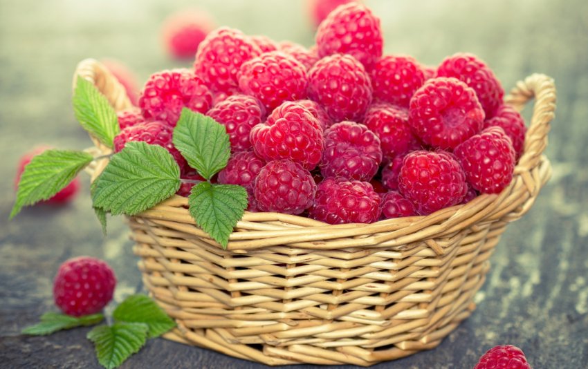 Малина для приготування вина