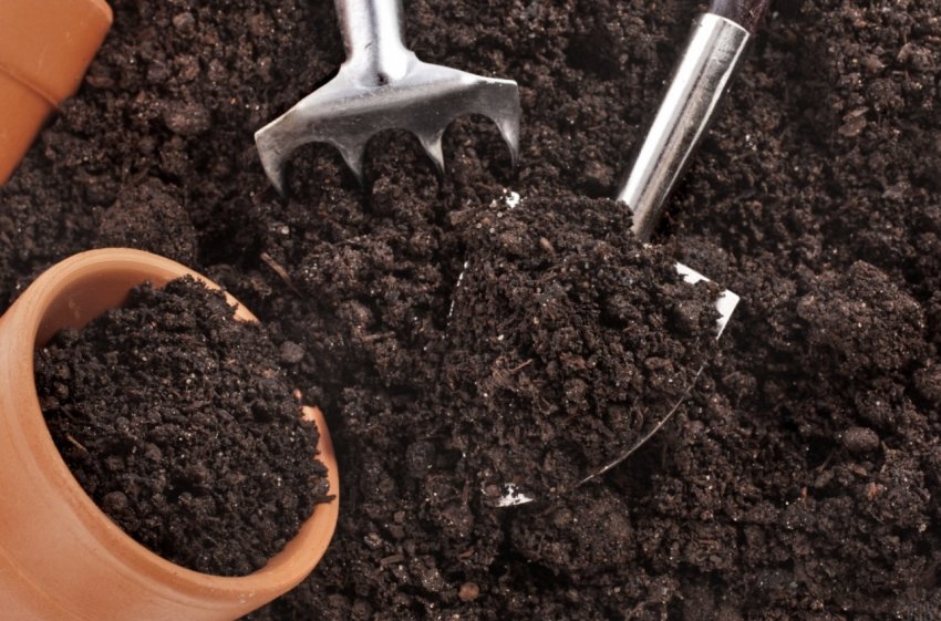 Грунтосуміш для розсади Грунтосуміш для розсади