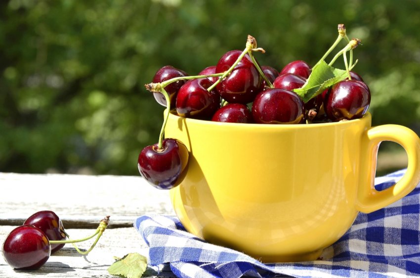 Українська черешня стала дешевшати Українська черешня стала дешевшати