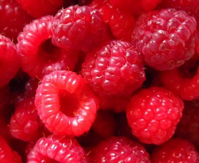 Великі і солодкі сибірські сорти малини