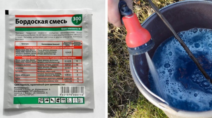 Бордоська суміш Бордоська суміш