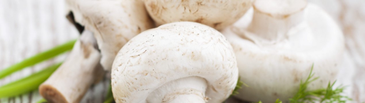 Через півроку під Москвою запрацює грибна ферма