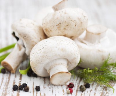 Через півроку під Москвою запрацює грибна ферма