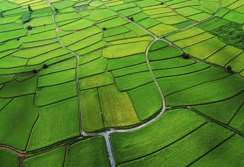 Кожен сантиметр кримських полів буде контролювати супутник Кожен сантиметр кримських полів буде контролювати супутник