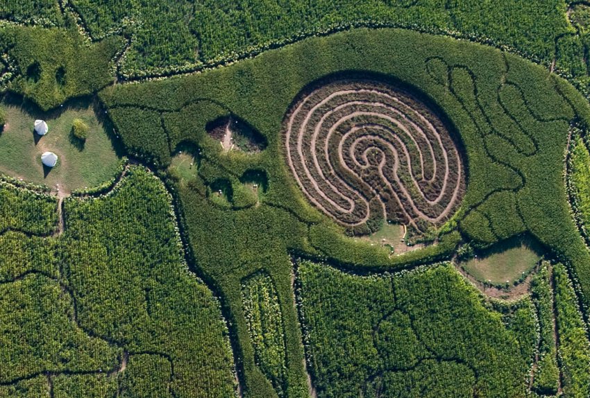 Кожен сантиметр кримських полів буде контролювати супутник Кожен сантиметр кримських полів буде контролювати супутник