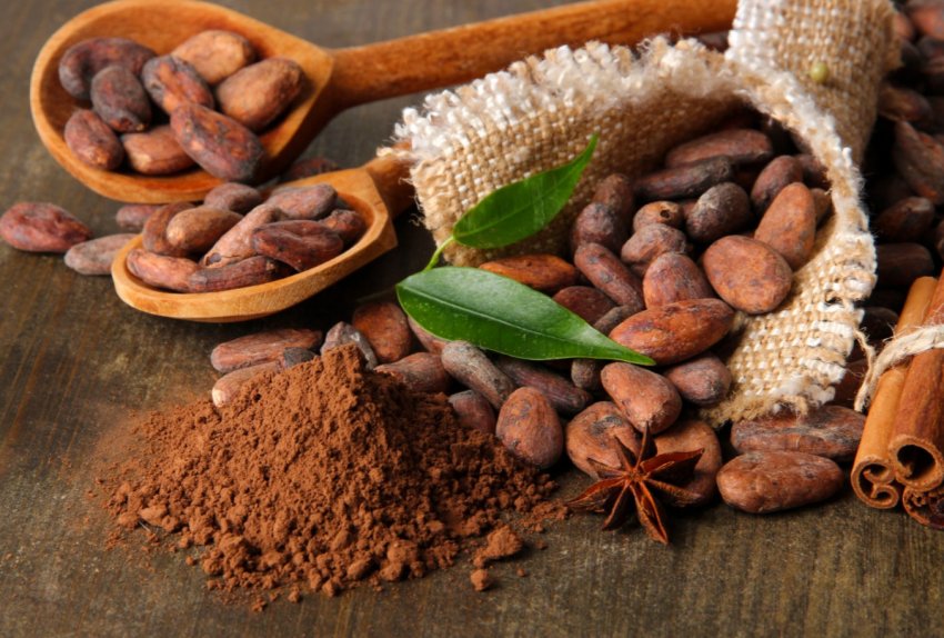 Фермери Кот-д Івуар бояться, що брак дощів може знизити середню врожайність какао