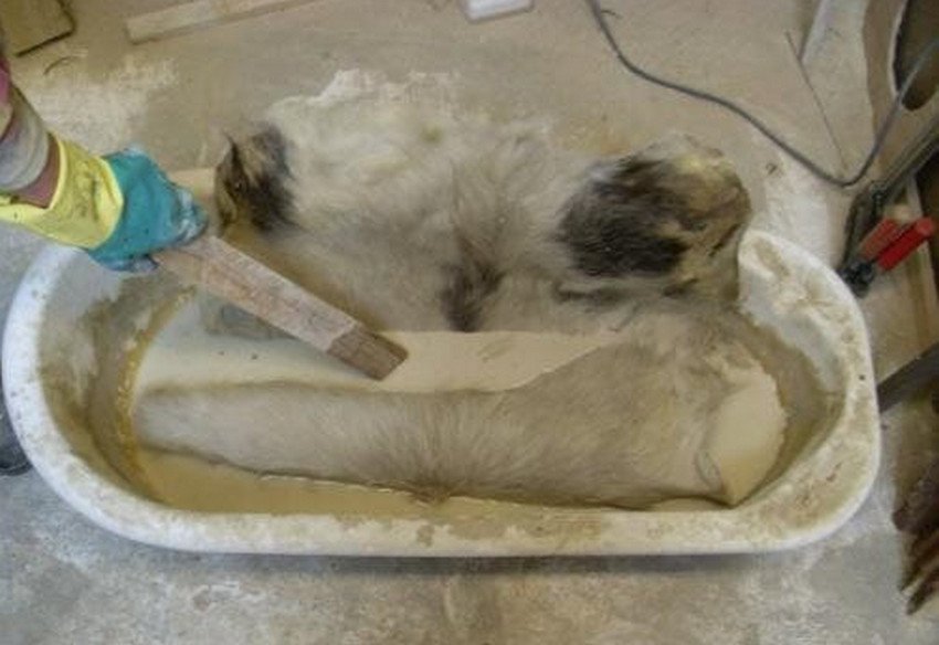 Знежирення овечої шкури Знежирення овечої шкури