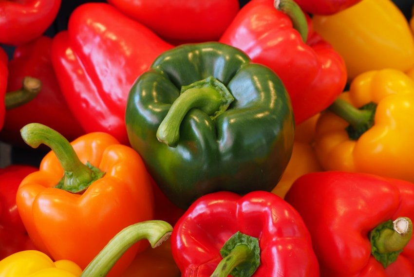 Господарство Київської області займеться вирощуванням органічної перцю