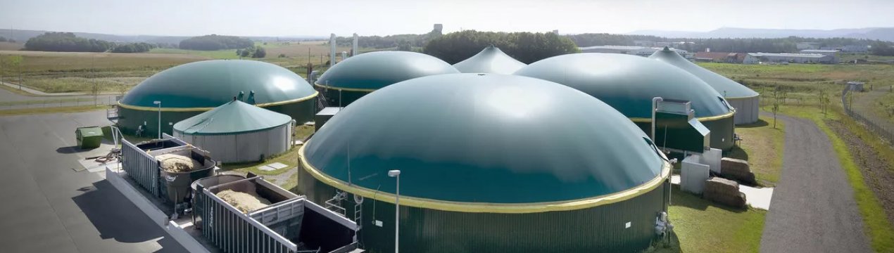 Українське птахівництво без відходів: біогазові станції чекають пропозицій