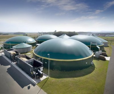 Українське птахівництво без відходів: біогазові станції чекають пропозицій 