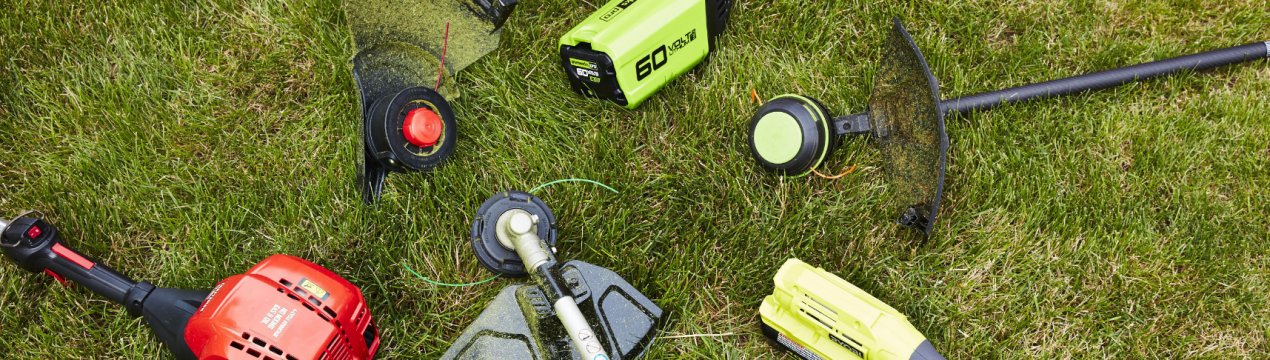 Новосибірські вчені розробили технологічний підмога для боротьби з бур'янами