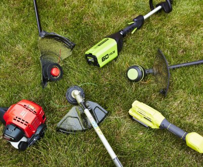 Новосибірські вчені розробили технологічний підмога для боротьби з бур'янами