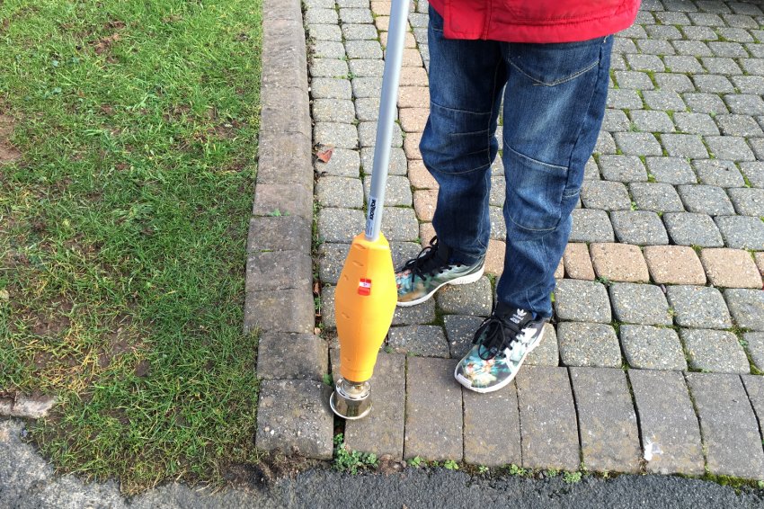 Новосибірські вчені розробили технологічний підмога для боротьби з бур'янами Новосибірські вчені розробили технологічний підмога для боротьби з бур'янами