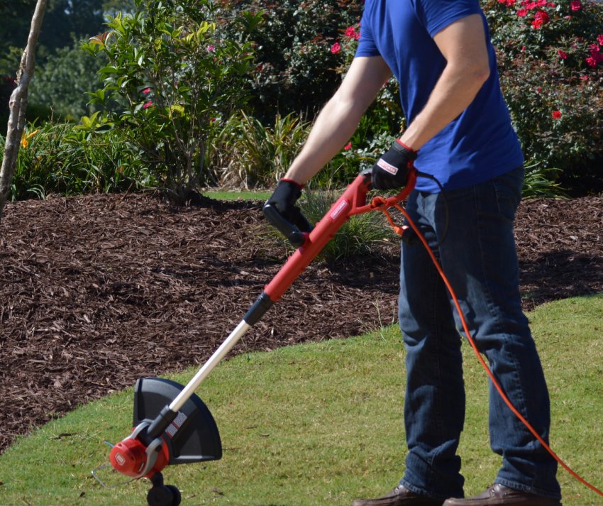 Новосибірські вчені розробили технологічний підмога для боротьби з бур'янами Новосибірські вчені розробили технологічний підмога для боротьби з бур'янами